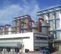 吉林成大弘晟能源有限公司油页岩电捕焦油器